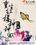 重生红楼空间文
