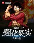 海贼王之武器果实