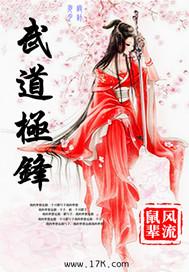武道极境全剧