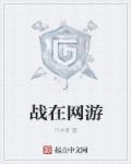 主角是盾战的网游