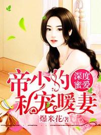 帝少的私宠暖妻TXT