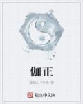 伽正三 大理