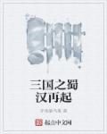 三国之蜀汉再起刘谌