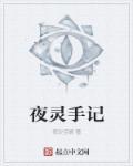 夜灵的身份