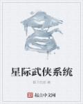 星际武道系统