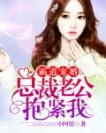 霸道宠婚总裁老公抱紧我全文阅读