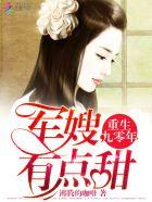重生九零军嫂文