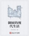 御厨穿越到现代电视剧