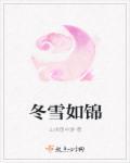 冬雪如锦by眉如黛