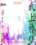 武仙神功牌