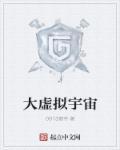 宇宙虚拟公司是哪本里面的