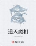 极道天魔等级