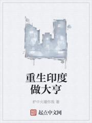 重生印度做大亨QQ阅读