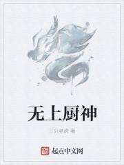 无上等级厨神