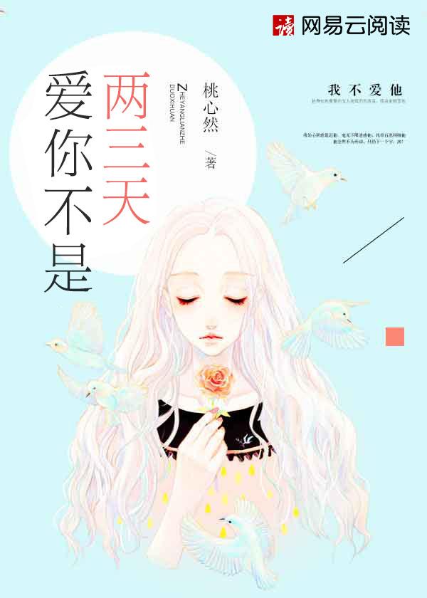 爱你不是两三天 歌词