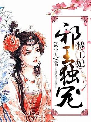 邪王独宠特工妃全集免费
