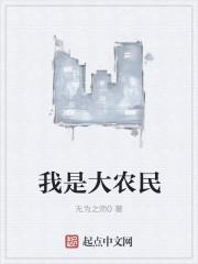 我是农民大年和谁在一起了