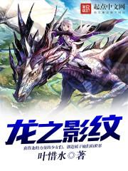 龙之影破解版
