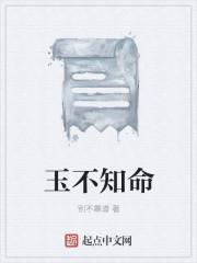 玉不琢什么什么不知道