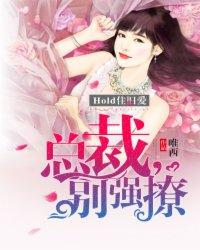 总裁别矜持免费阅读