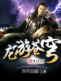 龙游苍穹激活码2024最新消息