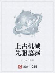 人形机器人