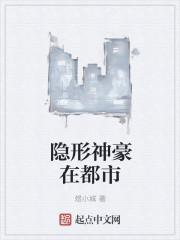 隐形高手在都市