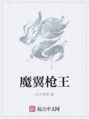 魔枪手技能