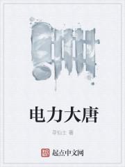 大唐电力谁家的