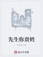 先生你贵姓6.6专业版