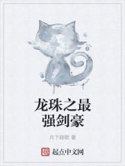 龙珠之最强国术