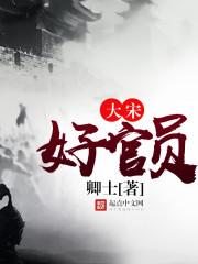 大宋官员上朝视频