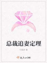 总裁追妻的大全