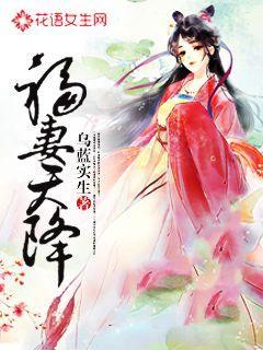 福妻天降介绍