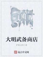 大明武将集团