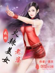 我的美女老婆简介