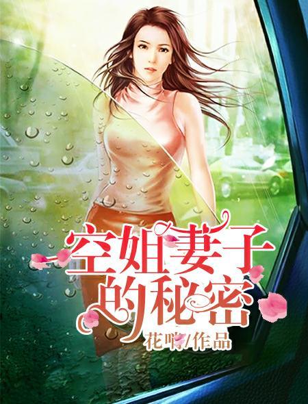 空姐妻子的秘密国产电影