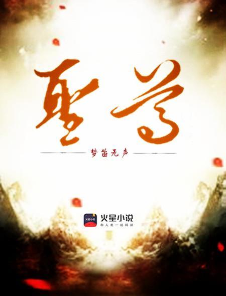 圣尊奇策