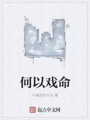 何以什么意思