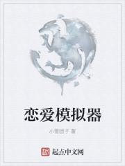 我的虚拟女朋友