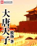 大唐天子之宝印章