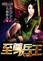 至尊兵王叶枫完整版免费阅读