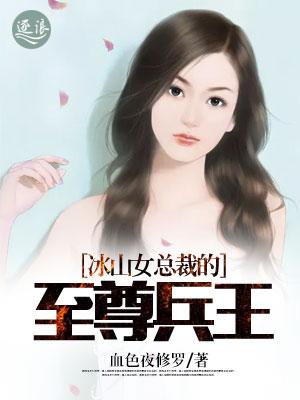 冰山女总裁的至尊兵王莫晨