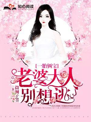 老婆大人别想逃(沈蔓歌叶南弦)