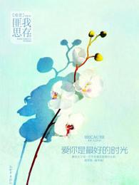 爱你是最好的时光什么意思