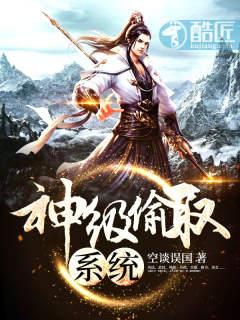 超级神偷系统