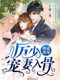 厉少宠妻入骨陆晚晚全文阅