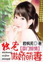 豪门独宠萌妻请赐教