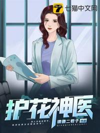 护花神医叶辰免费阅读