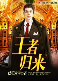 王者归来王浩第三部